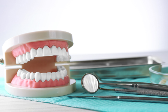 Valplast Interimsprothese | Dr. Frank Häfner – Ihr ganz persönlicher Zahnarzt